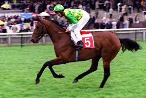 Eddery Prints: Shamrock City