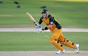 Shane Watson