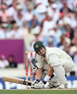 Shane Watson
