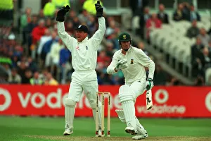 Shaun Prints: Shaun Pollock & Alec Stewart