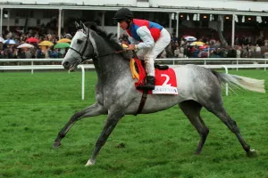 Silver Patriarch