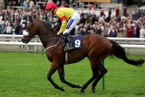 Newmarket Prints: Sir Xaar