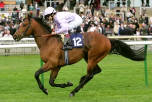 Newmarket Prints: Sivivatu