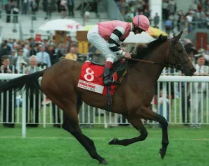 Dettori Prints: Siyadah