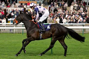 Newmarket Prints: The Snatcher