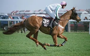 Racehorse Prints: Its A Snip