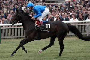 Guineas Prints: Snow Ridge