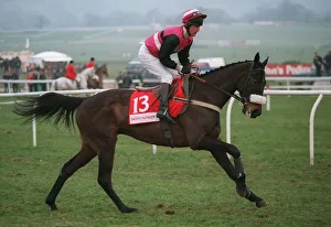 Racehorse Prints: Solo Gent