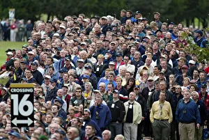Spectators At The Belfry