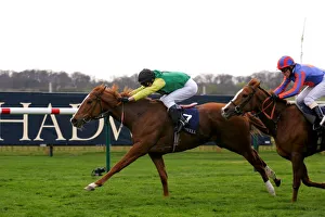Stks Prints: Spinning Queen & Salut D Amour