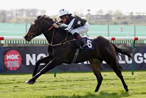 Spirit Of Sharjah