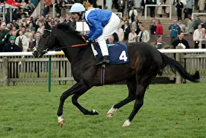 Guineas Prints: Splendid Era