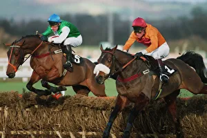 Murphy Prints: Staunch Friend & Halkopous