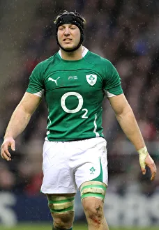 Stephen Prints: Stephen Ferris
