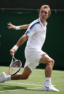 Steve Darcis