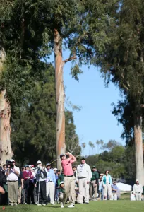 Steve Stricker
