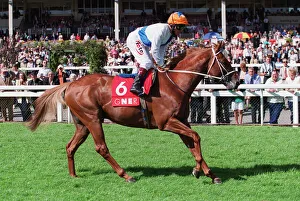 Eddery Prints: Sugarfoot