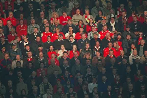 Fans Prints: Sunlight Shines On Welsh Fans
