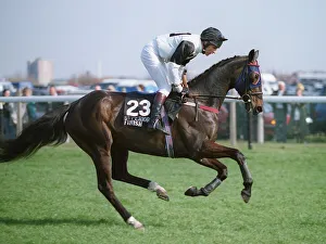 Racehorse Prints: Superior Finish