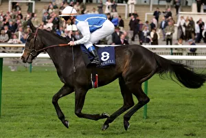 Newmarket Prints: Sweet Travel