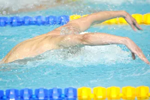 Commonwealth Prints: Swimmer Doing Butterfly