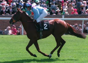 Racehorse Prints: Swing Low (Richard Quinn)