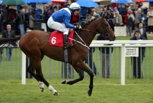 Darley Prints: Systematic