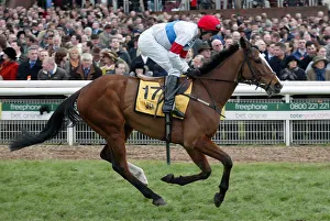 Cheltenham Prints: Tamarinbleu