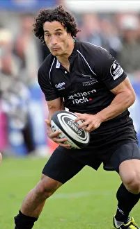 Falcons Prints: Tane Tu Ipulotu