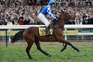 Cheltenham Prints: Tarque