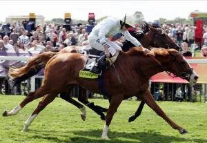 Dante Prints: Tarten Bearer Wins Ahead Of Frozen Fire Ridden By Ryan Moore
