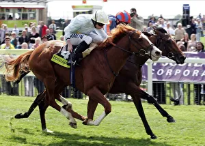 Tarten Bearer Wins Ahead Of Frozen Fire Ridden By Ryan Moore