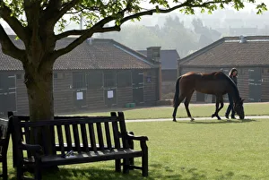 Tattersalls Prints: Tattersalls