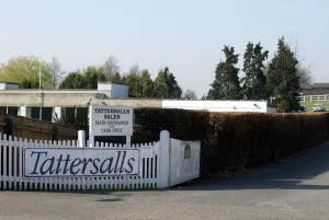 Tattersalls