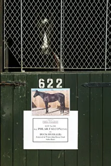 Tattersalls Prints: Tattersalls Stable