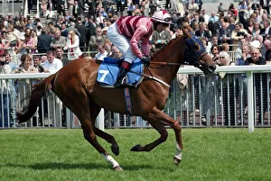 Darley Prints: Tedstale