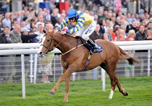 Dante Prints: Tepmokea Ridden By Paul Hanagan