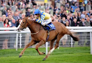Tepmokea Ridden By Paul Hanagan