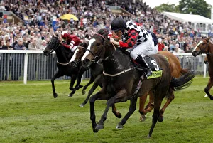 Mullen Prints: Terantia