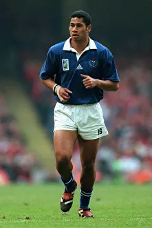 Terry Prints: Terry Fanolua