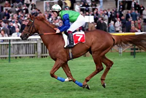 Newmarket Prints: Theatre Script