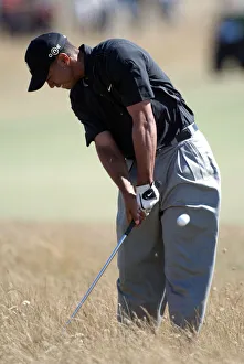 Tiger Woods
