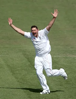 Tim Bresnan