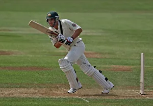 Paine Prints: Tim Paine