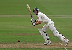 Tim Paine