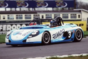 Park Prints: Tobia Masini, Renault Spider