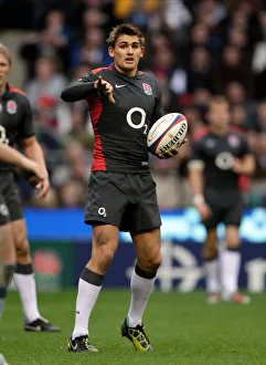 Toby Flood