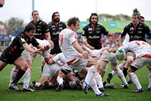 Tomas O Leary