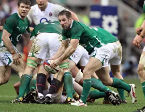 Tomas O Leary