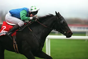 Tony Prints: Tony Mccoy (Chalenger Du Luc)